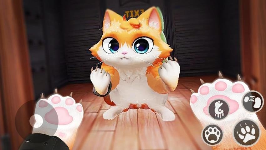 猫咪和奶奶