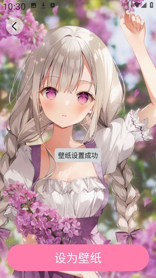 小粉世界