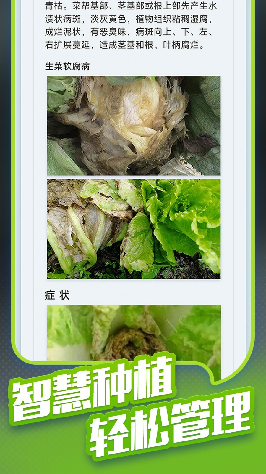 种菜专业户