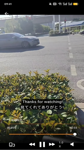 subcat翻译猫安卓版