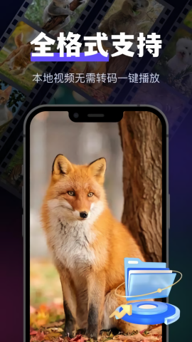 智趣万能播放器
