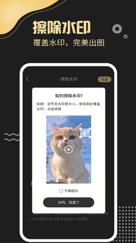 去水印工厂