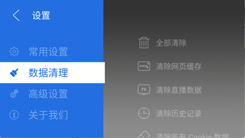 白夜浏览器电视版