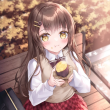番薯动漫纯净版