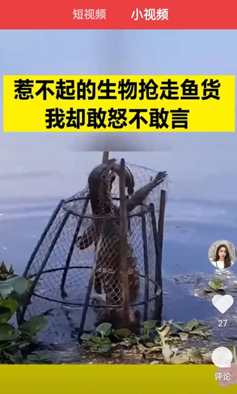 乐乐看极速版