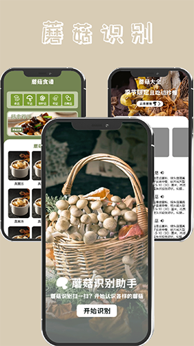 蘑菇识别