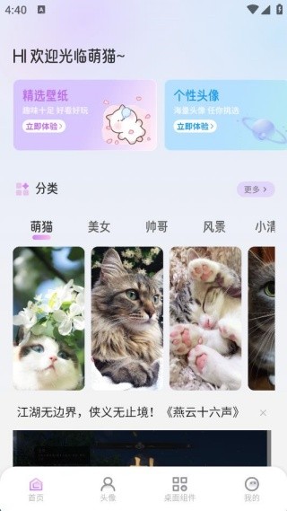萌猫派对壁纸高清版