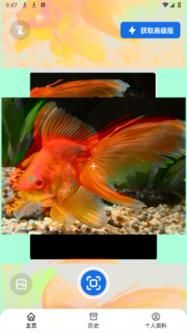 Fishby软件