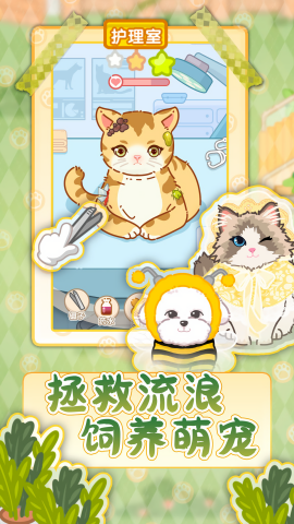 猫猫狗狗一起玩