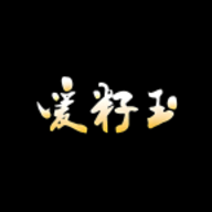 爱籽玉拍卖