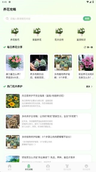 花札物语识别