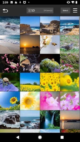 松下LUMIXSync