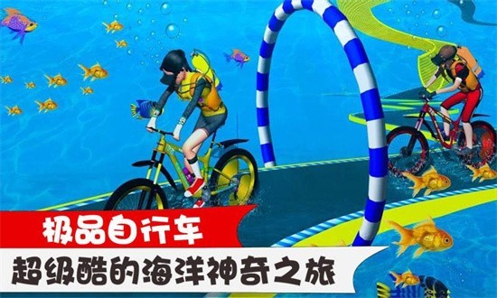 极品自行车