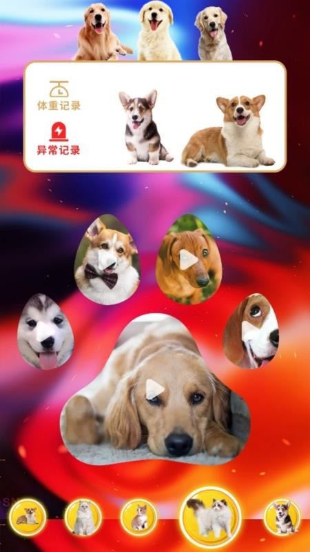 agosda翻译助手