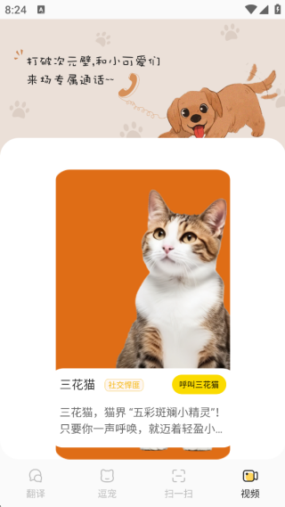 免费萌宠翻译器