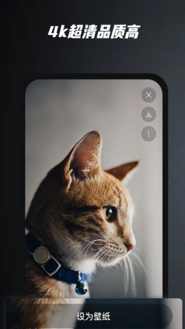 余香壁纸app