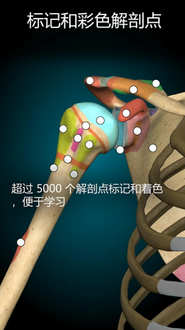 3D解剖学付费解锁版