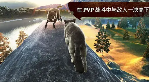 狼族无限金币版