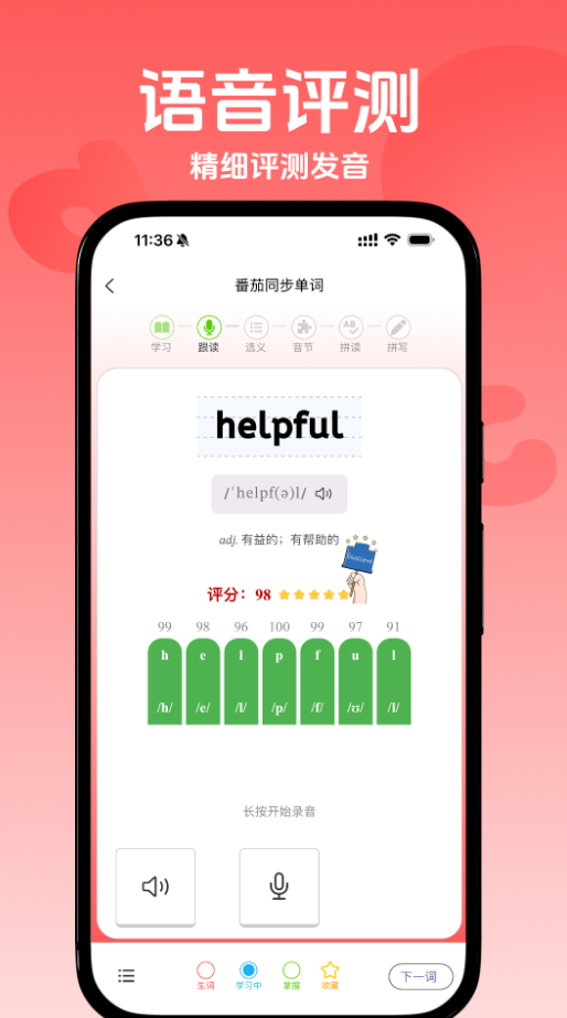 番茄同步单词