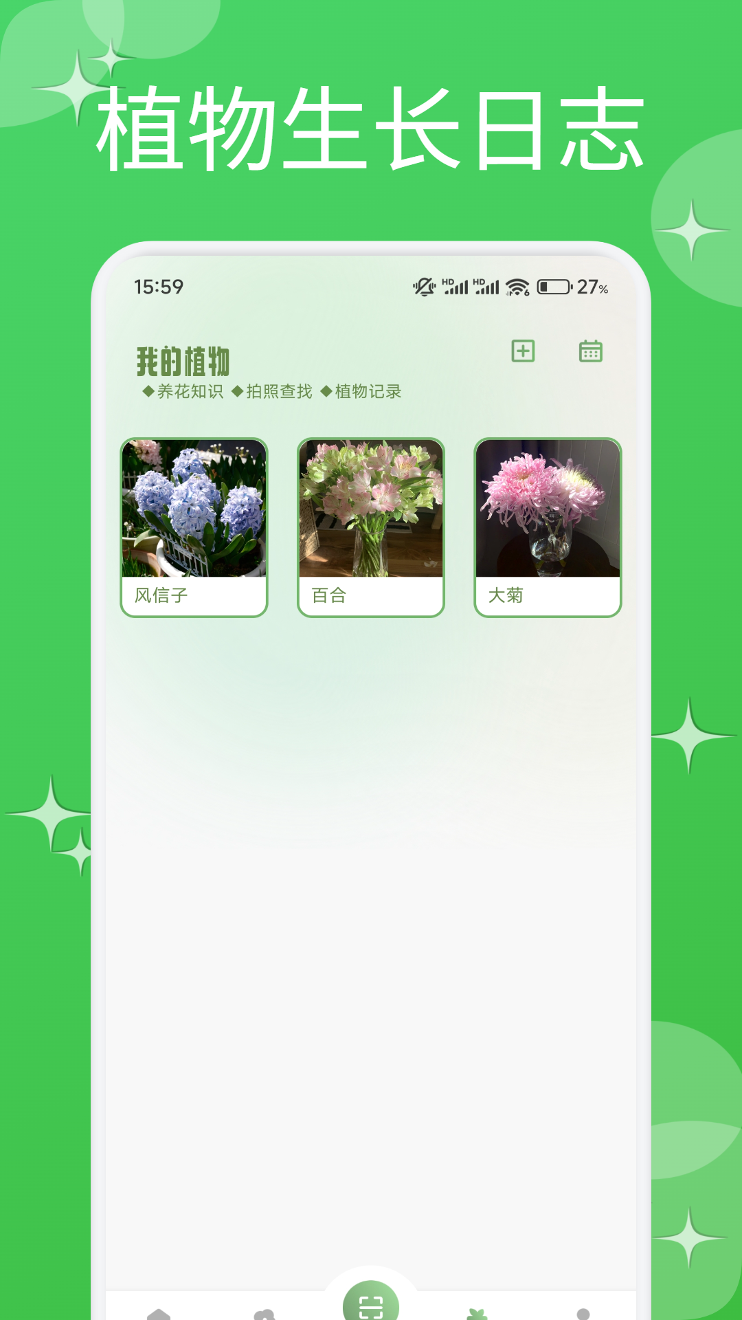 芙蓉花语