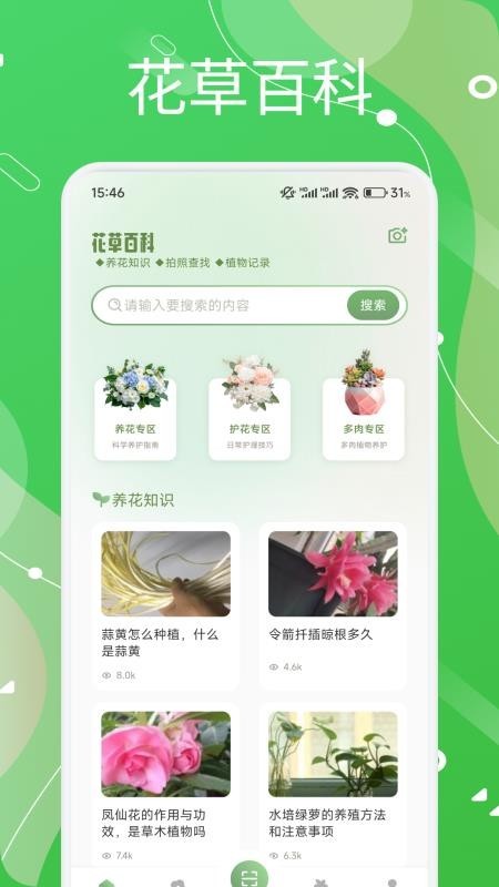 芙蓉花语