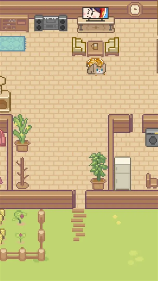 Miao屋