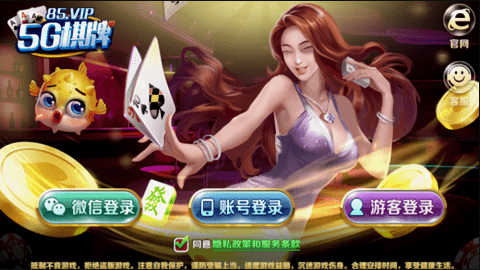 5G娱乐手机版