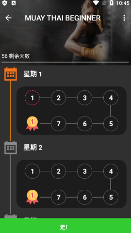 泰拳健身指南
