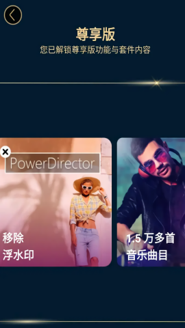 威力导演高级版