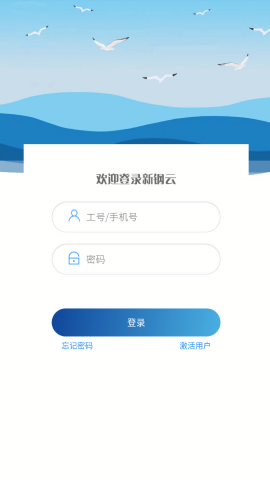 新钢云