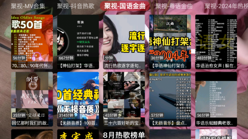 聚视音乐电视版