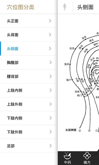中药大全