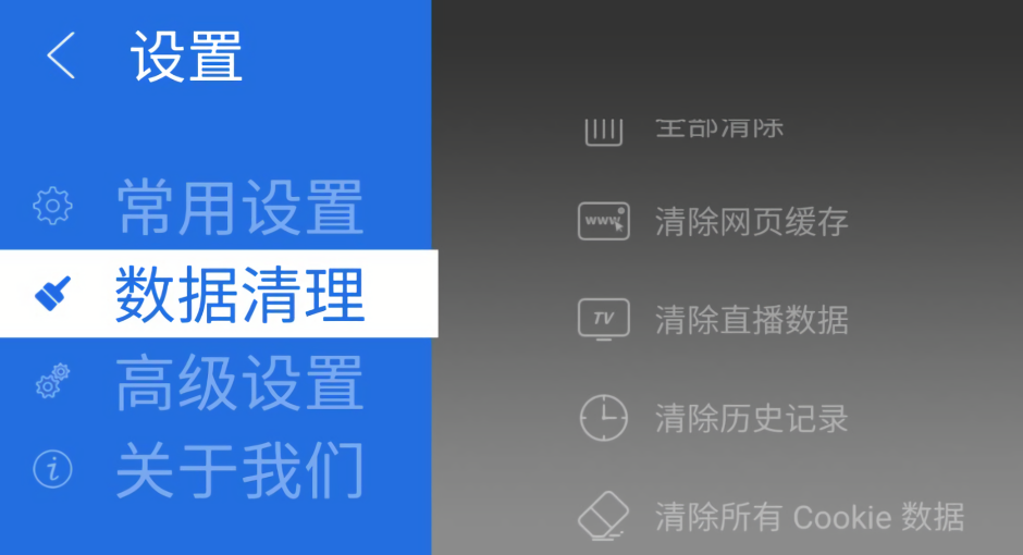 飞视浏览器TV版