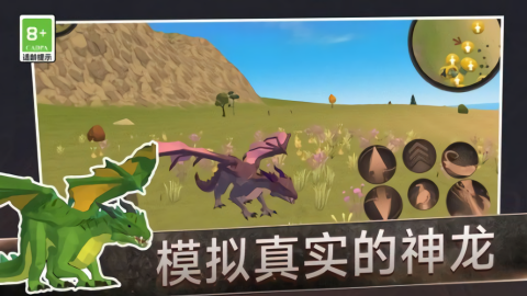 红龙模拟器