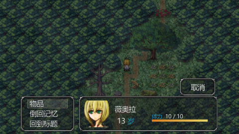 魔女之家艾莲手机汉化版