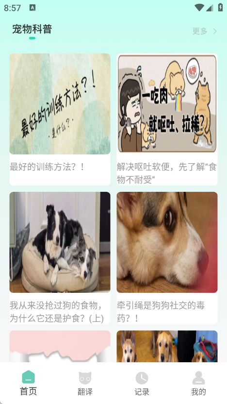 游猫猫