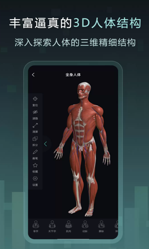 Easy解剖