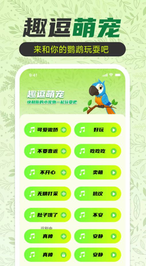 鹦鹉翻译助手