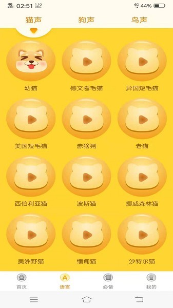 八哥鸟语翻译器中文版