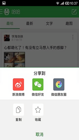 傲游哈哈