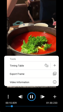 Frameskip逐帧播放器app