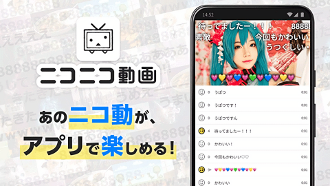 n站