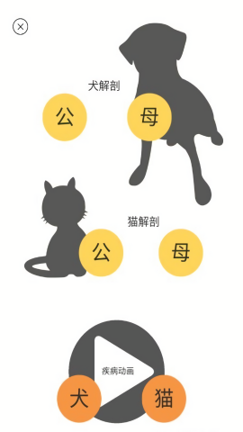 3dbody宠物版