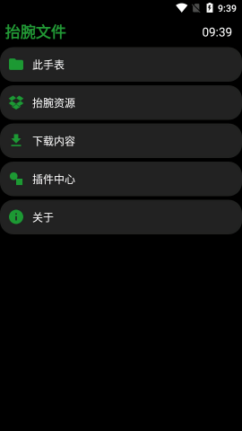 抬腕文件手表版