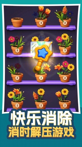 无序生花