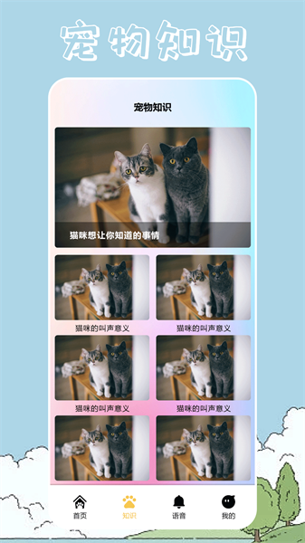 桌面宠物壁纸高清无水印版