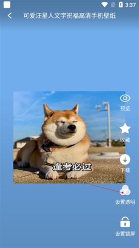 全局透明