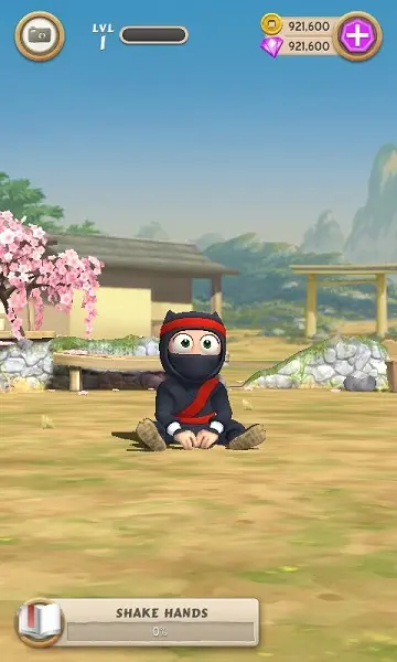 笨拙的忍者无限金币钻石版