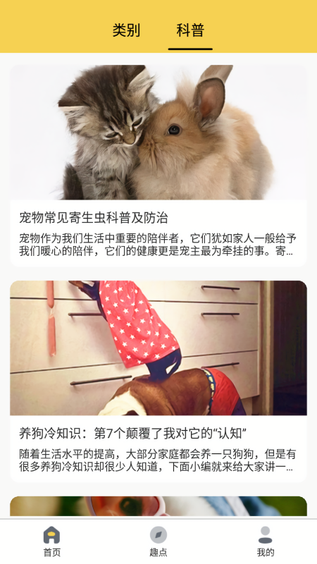 橙猫