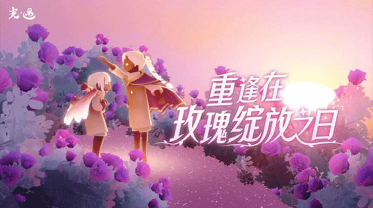 sky白鸟全物品版